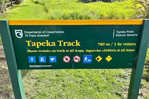 Tapeka Point Track image