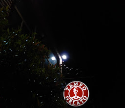 RedDoorz Plus @ Prawirotaman 3 photo