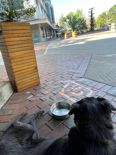 Wine Bar «Eola Wine Co», reviews and photos, 430 E Central Blvd, Orlando, FL 32801, USA