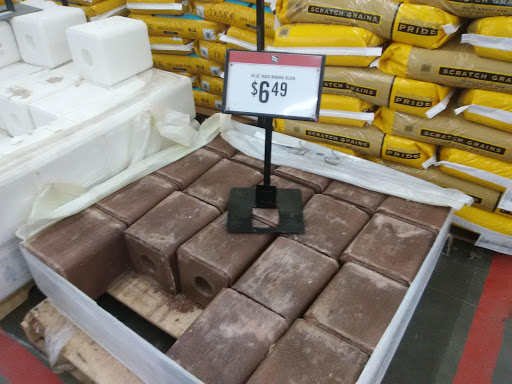 Home Improvement Store «Tractor Supply Co.», reviews and photos, 5359 W US Hwy 90, Lake City, FL 32055, USA