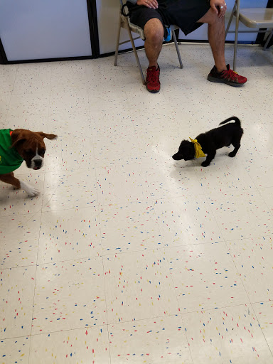 Pet Supply Store «Petco Animal Supplies», reviews and photos, 22511 TX-249, Houston, TX 77070, USA