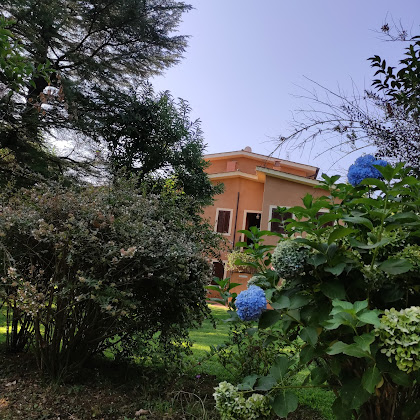 Photo Casa vacanza Le Caiole Agriturismo 01012 Capranica