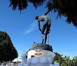 Gimnasio Municipal de Torreón photo