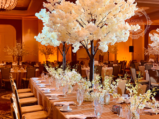 Event Planner «BLISSFUL CELEBRATIONS», reviews and photos, 401 N Bowser Rd #113, Richardson, TX 75081, USA