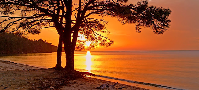 Αριθμός τηλεφώνου Villa Emilia & suites