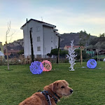 Photo n°1 de l'avis de teo. fait le 09/01/2022 à 14:42 sur le  Barbaciiu Vacanze Green à Pietra Ligure