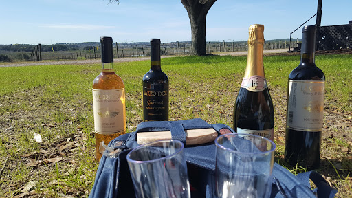 Vineyard «Lakeridge Winery & Vineyards», reviews and photos, 19239 US-27, Clermont, FL 34715, USA
