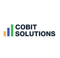 Cobit Solutions - Photo 7 - Car repair in Denver, CO, Denver