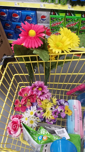 Home Goods Store «Dollar General», reviews and photos, 309 W Main St, Hahira, GA 31632, USA