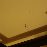 Photo n° 6 de l'avis de Meetha.t fait le 20/08/2022 à 21:06 pour Le Cap d'Ambre à La Barre-de-Monts