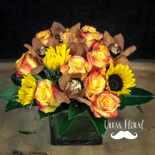 Florist «Urban Floral», reviews and photos, 671 Meriden Rd, Waterbury, CT 06705, USA