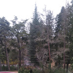 Photo n°15 de l'avis de Glaucia.a fait le 27/02/2022 à 15:50 sur le  Vidago Palace Hôtel à Vidago