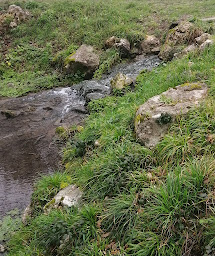 Photo n°13 de Parc de la Rabière à Joué-lès-Tours ()
