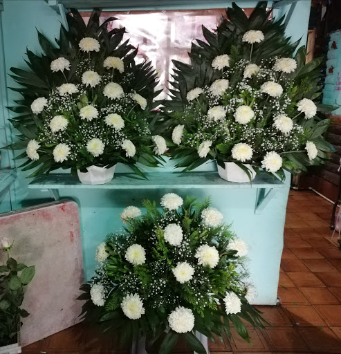 Florería Dalia – Guadalupe