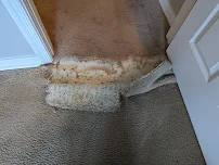 Carpet Doctors - Car repair in , Richmond - Rated 5.0/5