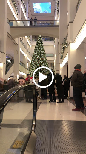 Shopping Mall «900 North Michigan Shops», reviews and photos, 900 N Michigan Ave, Chicago, IL 60611, USA