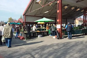 Tiszakécske piac image