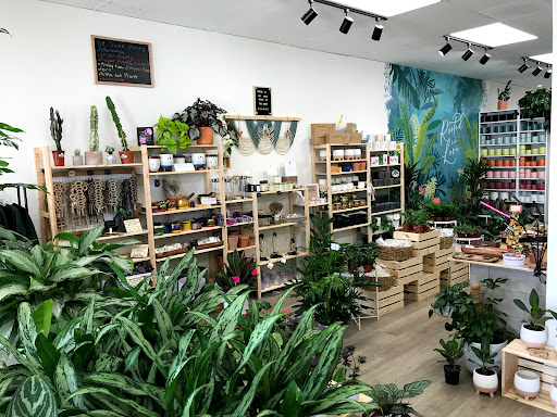 PlanterSam image