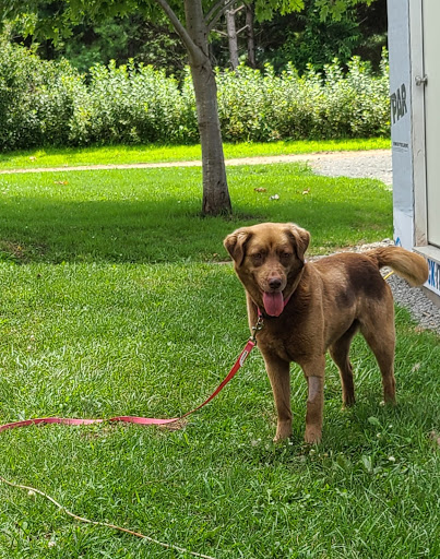 Pet Supply Store «PetSmart», reviews and photos, 3210 E Lynn Blvd, Sterling, IL 61081, USA