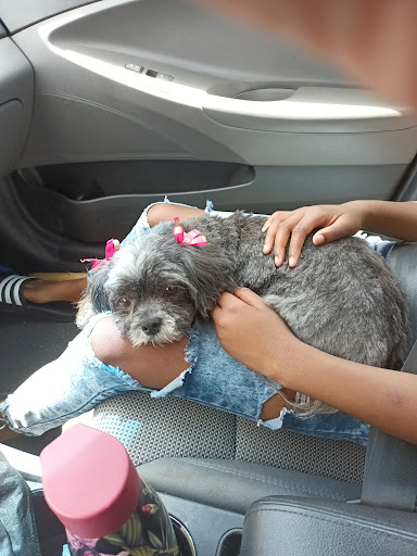 Pet Supply Store «Pet Supplies Plus», reviews and photos, 115 Richard B. Russell Parkway suite-110, Warner Robins, GA 31088, USA