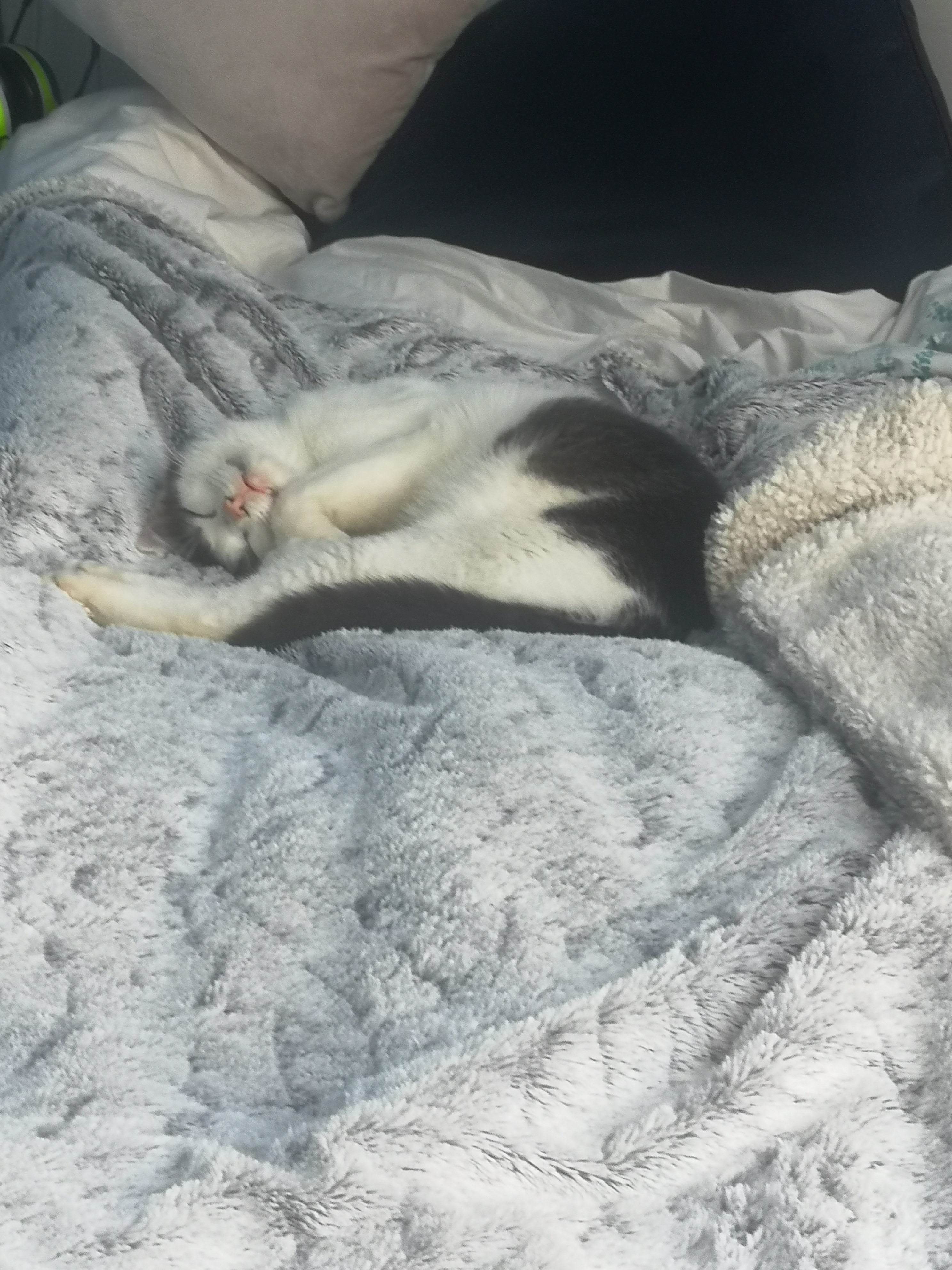 Photo n° 2 de l'avis de Anaïs.e fait le 22/04/2023 à 13:48