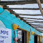 Photo n° 3 de l'avis de Dionne.i fait le 29/05/2024 à 09:24 pour L'hippocampe à Leucate