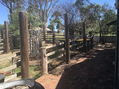 Photos of Yering Farm Wines