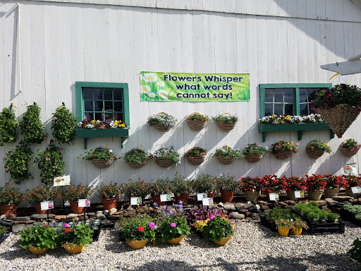 Florist «Colonial Flower Shoppe», reviews and photos, 611 Main St, Somers, CT 06071, USA