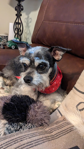 Vanity Fur Pet Salon and Resort