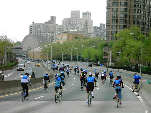 Bicycle Store «Peak Bicycle Pro Shop», reviews and photos, 42-42 235th St, Douglaston, NY 11363, USA