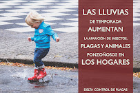 Fumigaciones Delta - Photo 6 - Car repair in Ciudad Juárez, Chihuahua, Mexico, El Paso