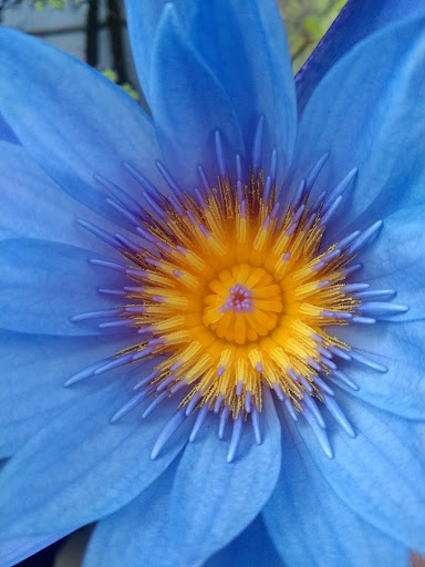 Tropical Fish Store «William Tricker Inc», reviews and photos, 7125 Tanglewood Dr, Cleveland, OH 44131, USA