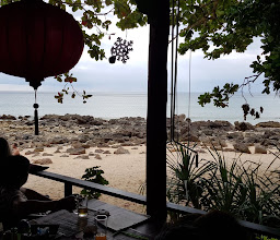 Bikini Restaurant photo