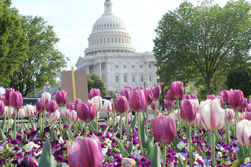 Historical Landmark «United States Capitol», reviews and photos, East Capitol St NE & First St SE, Washington, DC 20004, USA