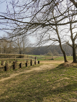Centre Equestre Les Mille Sources à Saint-Maixent