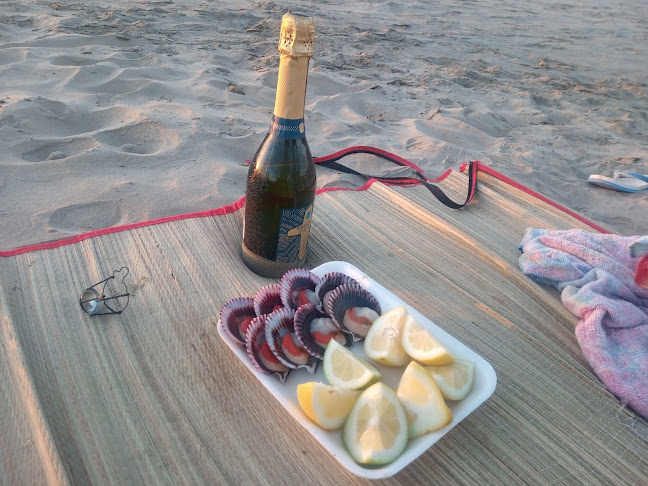 Camping Ripipal