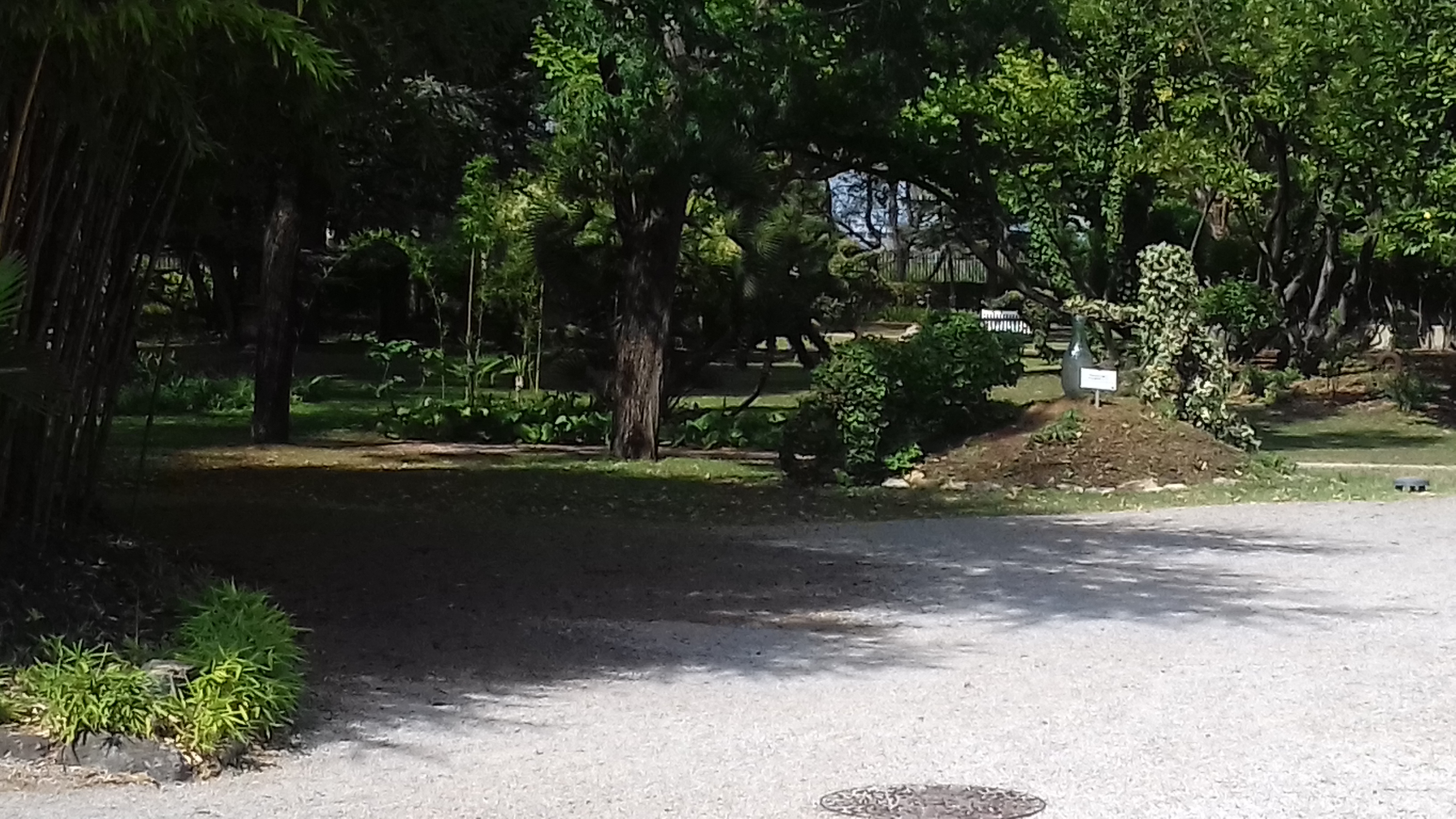 Photo n° 2 de l'avis de estingoy.l fait le 17/07/2019 à 10:40