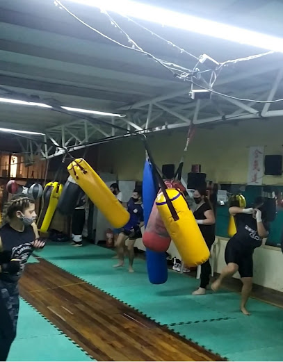 Kick boxing Academias TREZE en Mar del Plata en el CEAF