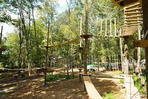 Tree Trekkers Frederick Outdoor Aerial Adventure Ropes and Zipline Park - photo 95