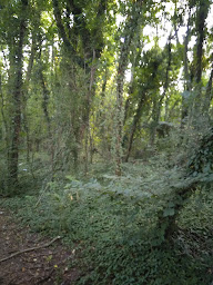 Photo n°9 de Local du bras mort à Oignies ()