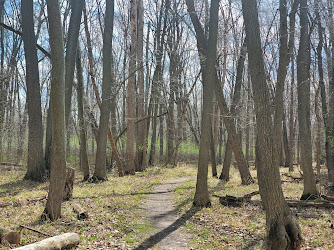 Woodland Trail