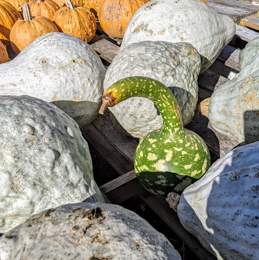 Garden Center «Agriventures Agway», reviews and photos, 126 Housatonic Ave, New Milford, CT 06776, USA