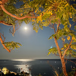 Photo n°2 de l'avis de linetine_. fait le 30/06/2022 à 08:27 sur le  Hotel San Giorgio Terme à Barano d'Ischia