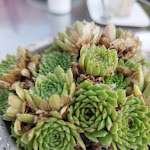 Photo n°1 de l'avis de melanie.a fait le 15/10/2021 à 18:29 sur le  Café in der Festung à Rüsselsheim