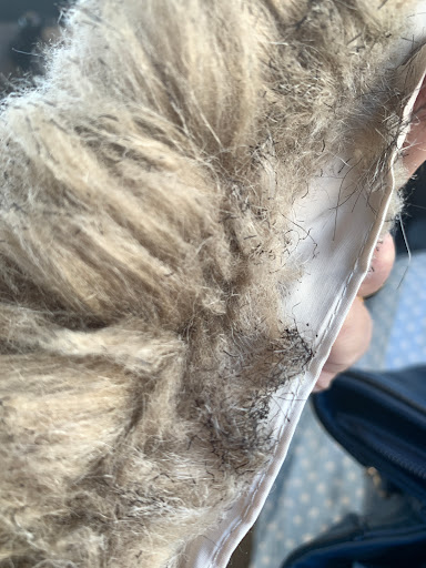 Dry Cleaner «Lansdowne Dry Cleaners», reviews and photos, 30 S Lansdowne Ave, Lansdowne, PA 19050, USA