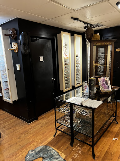 Explore animal tattoo ideas, creative tattoo ideas in Richmond, available at River City Tattoo Co