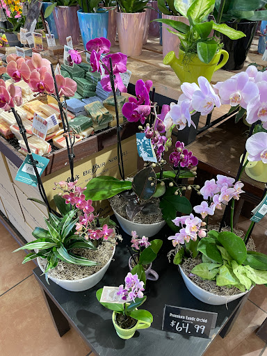 Raleys image