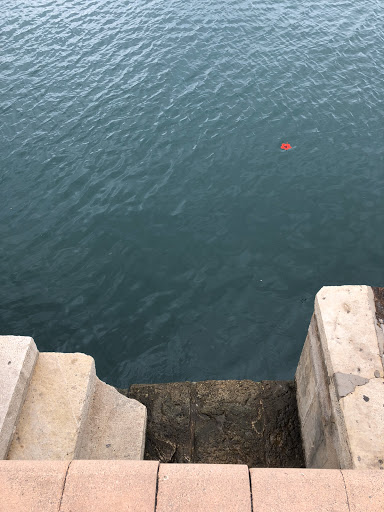 Travel Agency «Cruise & Travel Masters», reviews and photos, 4376 S 700 E #200, Murray, UT 84107, USA