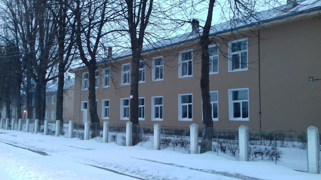 Liceul Vasile Alecsandri - Școală