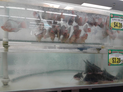 Supermarket «Savers Cost Plus», reviews and photos, 1713 S Belt Line Rd, Grand Prairie, TX 75051, USA